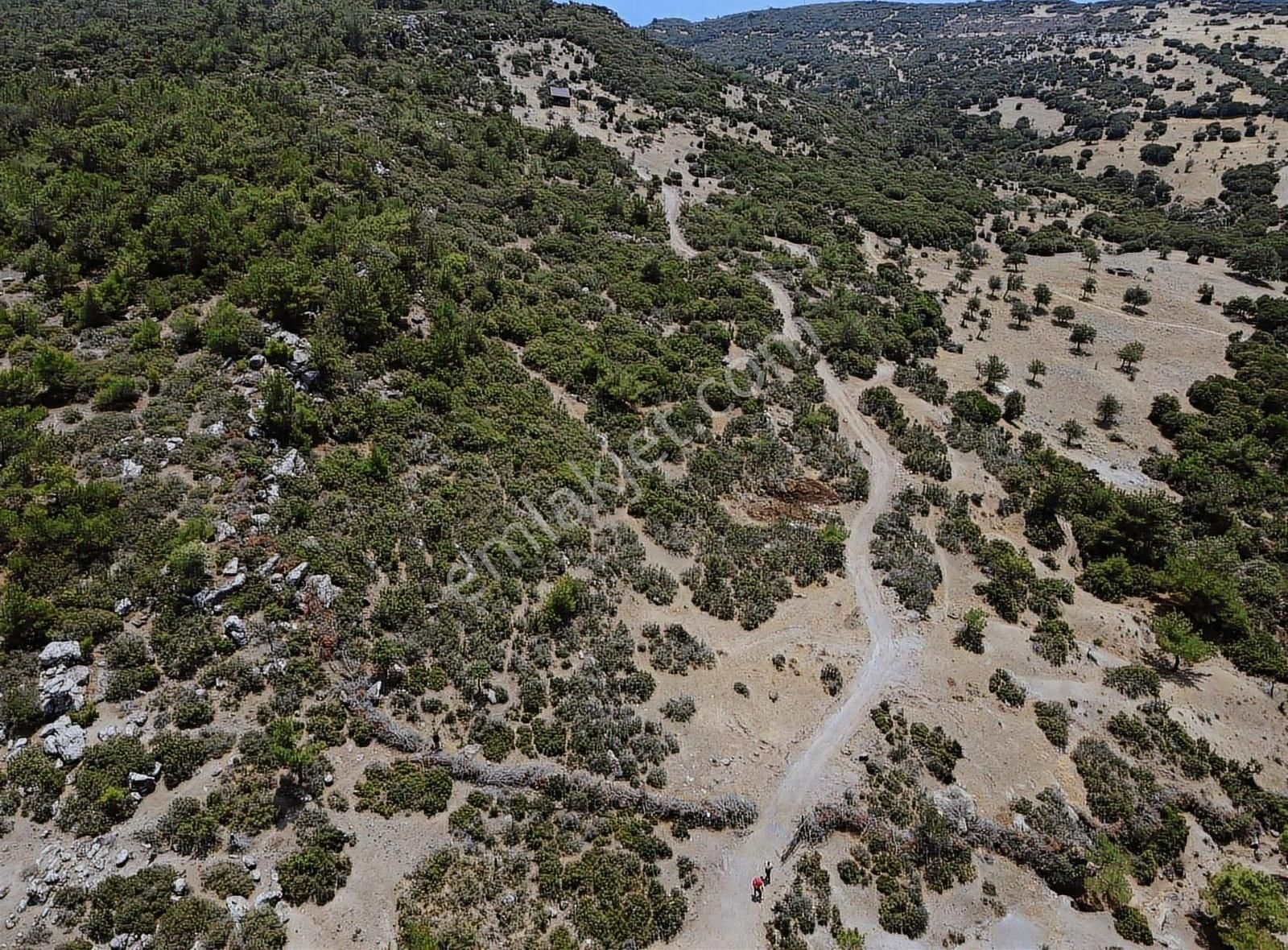 Ayvacık Koyunevinde Satılık Kaçırılmayacak Hisse !! - Görsel 5