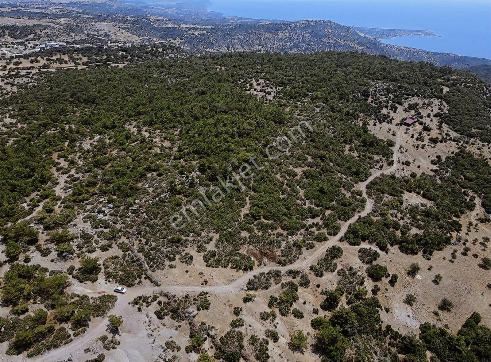 Ayvacık Koyunevinde Satılık Kaçırılmayacak Hisse !!
