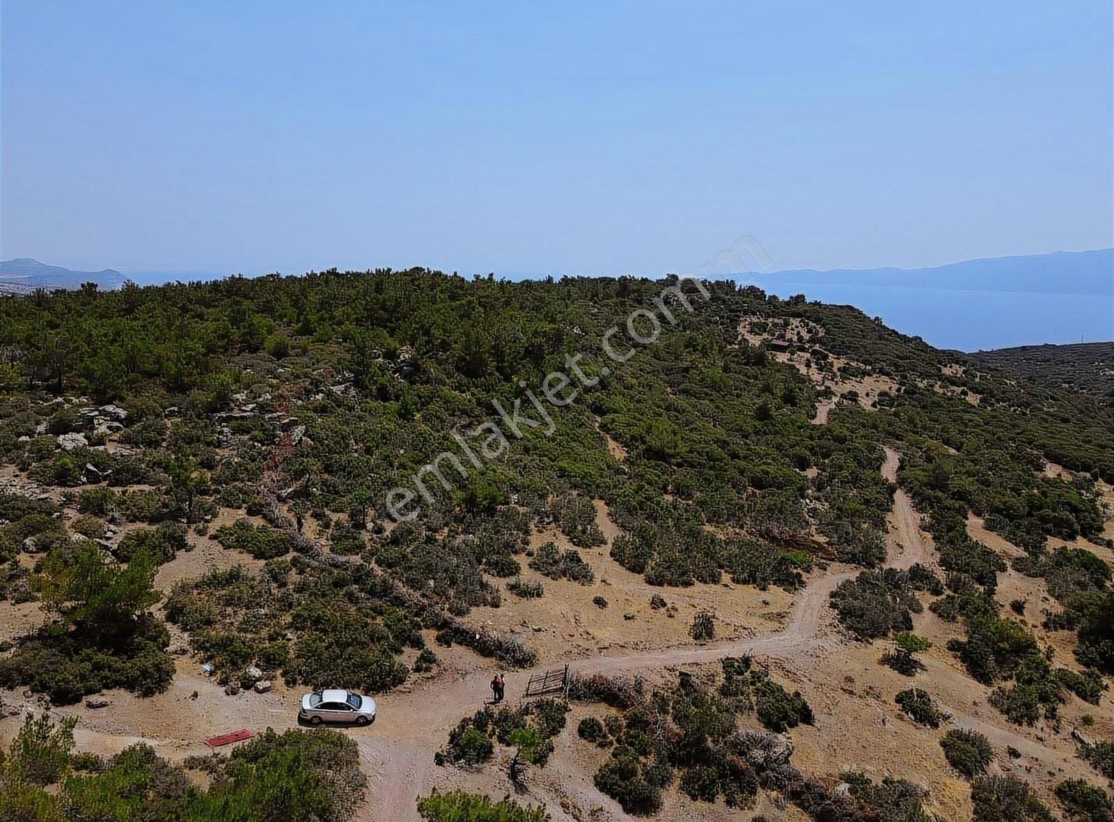 Ayvacık Koyunevinde Satılık Kaçırılmayacak Hisse !! - Görsel 6