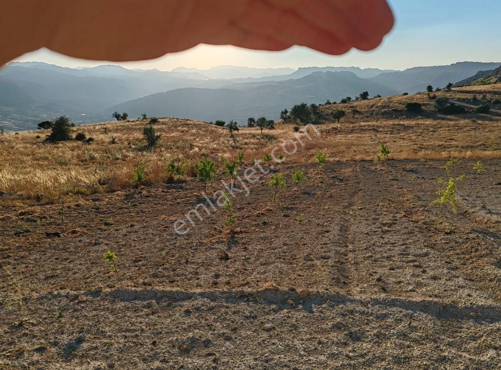 Sarıvelilerde 4759 M2 Fırsat Hoby Bahçesi - Görsel 5