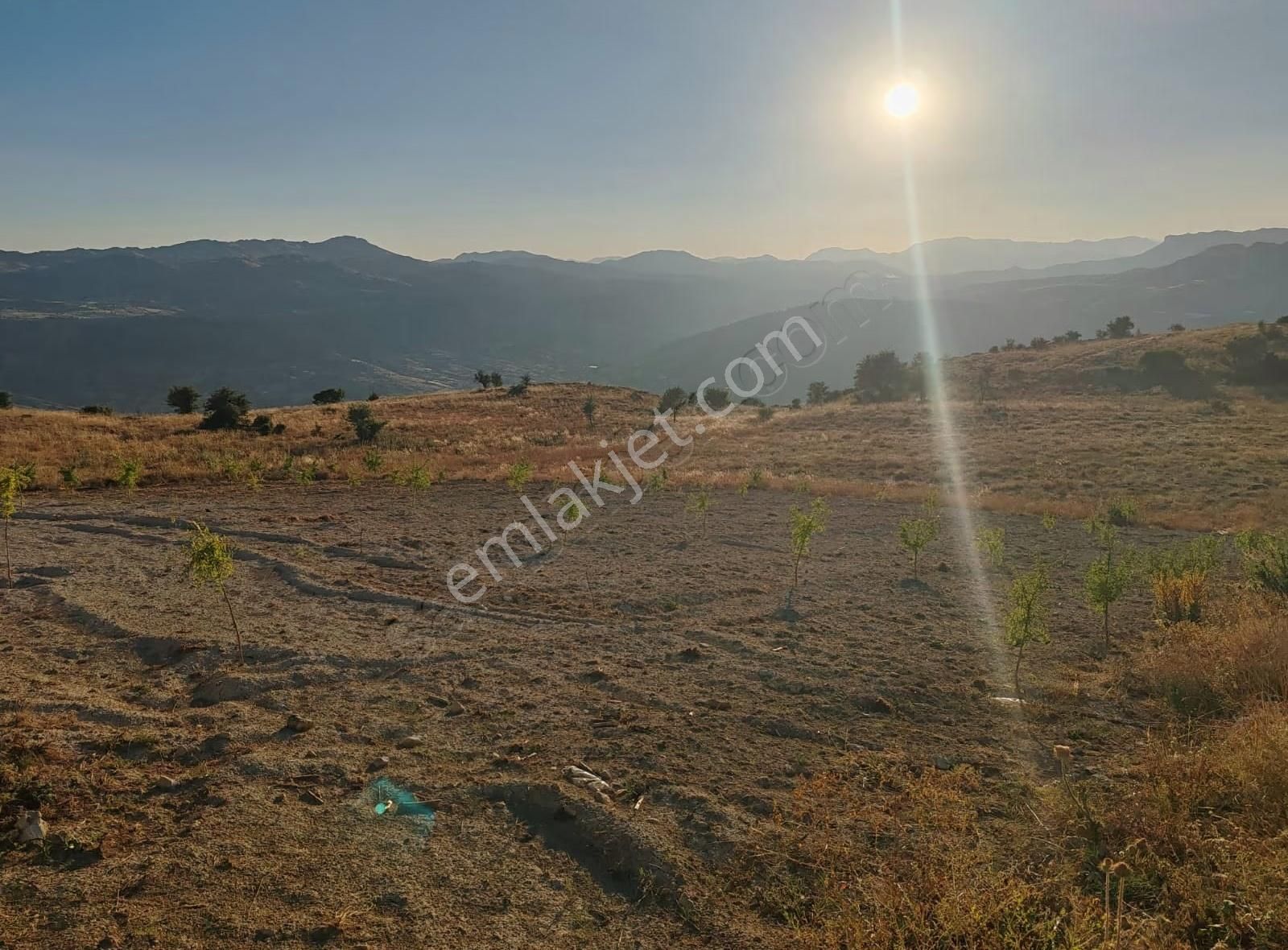 Sarıvelilerde 4759 M2 Fırsat Hoby Bahçesi - Görsel 6