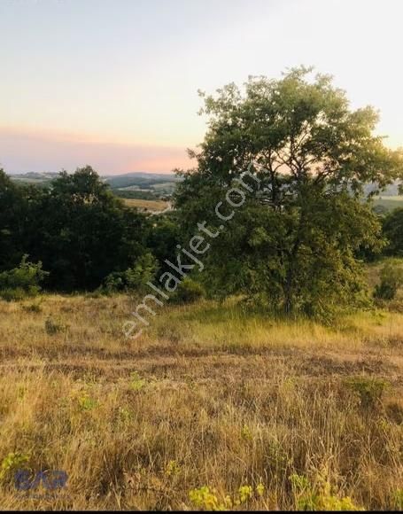 İzmit Böğürgen'de 6.500 M² Satılık Tarla - Görsel 3