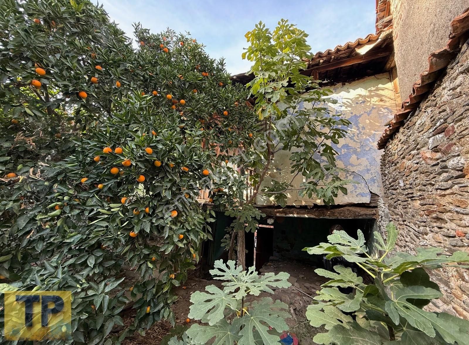 Tire Pınar Emlak Tan Satılık Müstakil Ev - Görsel 4