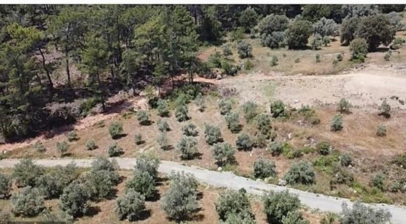 Dalaman Kayadibi Köyünde Satılık 1900 M2 Tarla - Görsel 3