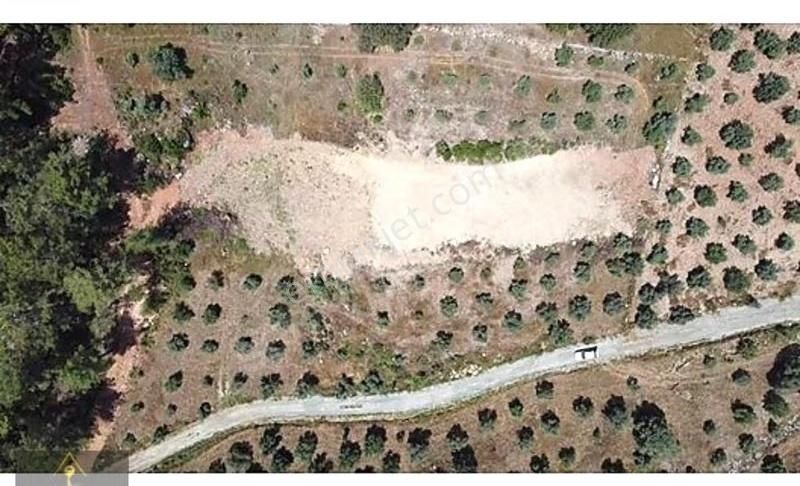Dalaman Kayadibi Köyünde Satılık 1900 M2 Tarla - Görsel 4