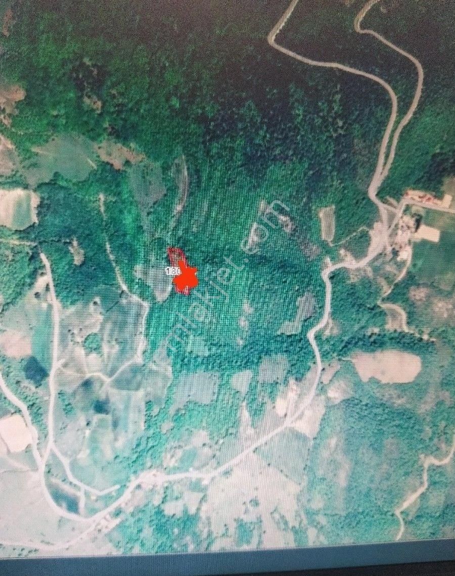 Sabuncuoğlu Gayrimenkul Den Samsun Bafra Merkez Kanlı Guney De Ucuz Yatırımlık Arazi - Görsel 7