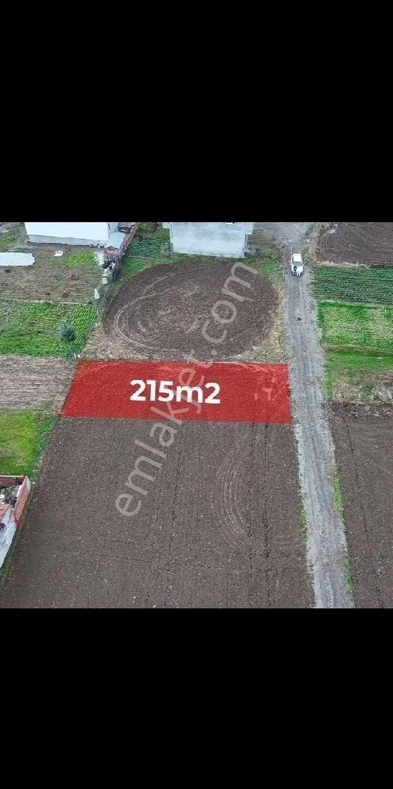 Sabuncuoglu Gayrımenkul Den Bafra Balıklarda 3.kat,imarlı Arsa. - Görsel 2