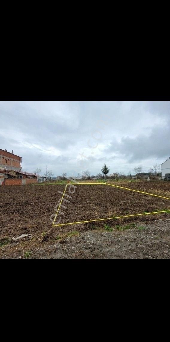 Sabuncuoglu Gayrımenkul Den Bafra Balıklarda 3.kat,imarlı Arsa.