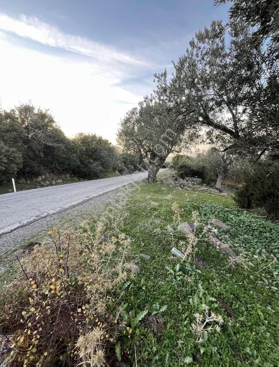 Gözde Life'tan Karakuzuda Yola Cepheli Satılık 60 M Hisse