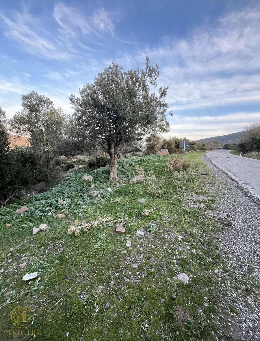 Gözde Life'tan Karakuzuda Yola Cepheli Satılık 60 M Hisse - Görsel 5