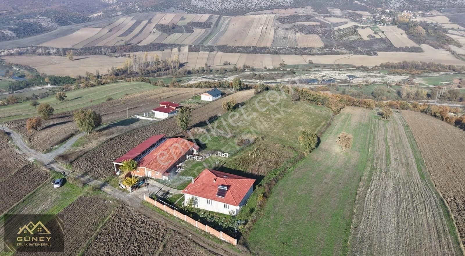 Güney Emlak Gayrimenkulden Satılık 7000 M² Çiftlik