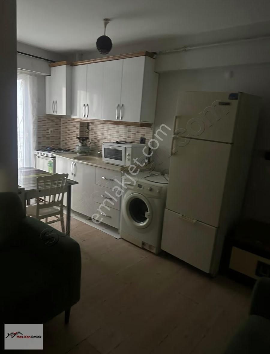 Meskan Dan Görüklede Ara Kat 1+1 Eşyalı Kiralık - Görsel 4