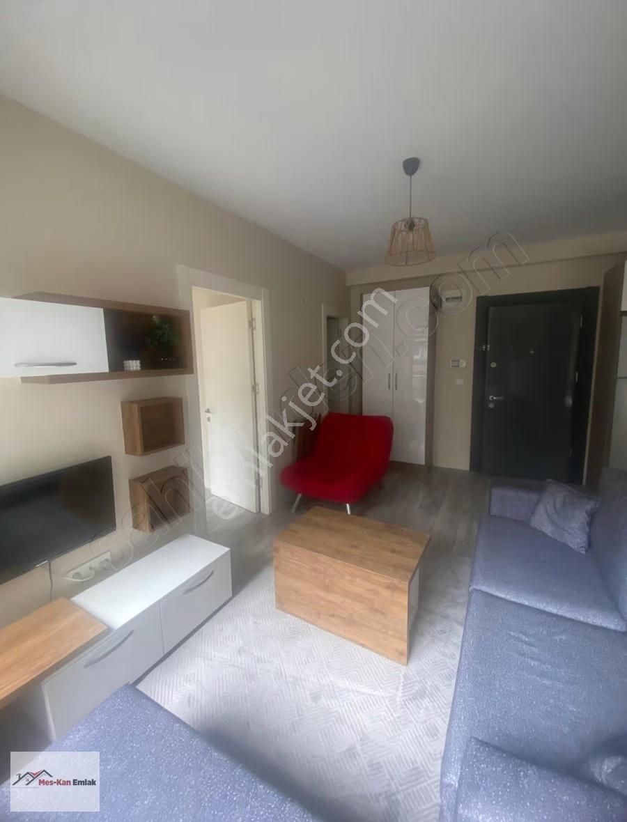 Meskan Dan Ostaş Vizyonda 2+1 Ara Kat Eşyalı Kiralık - Görsel 14