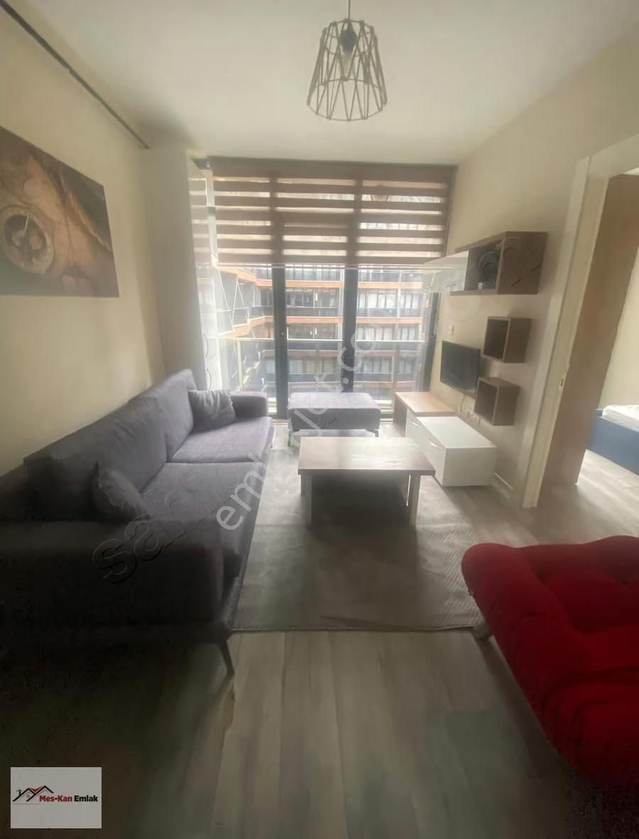 Meskan Dan Ostaş Vizyonda 2+1 Ara Kat Eşyalı Kiralık