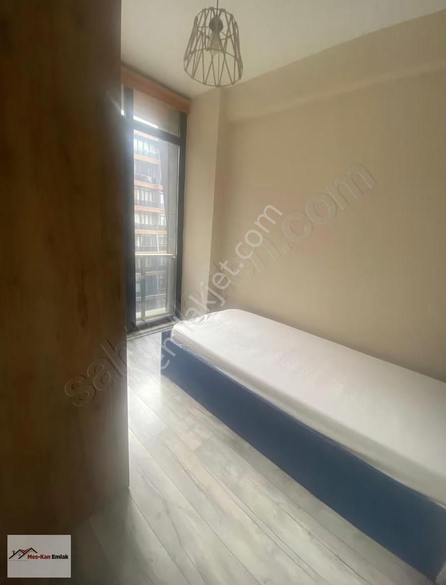 Meskan Dan Ostaş Vizyonda 2+1 Ara Kat Eşyalı Kiralık - Görsel 13