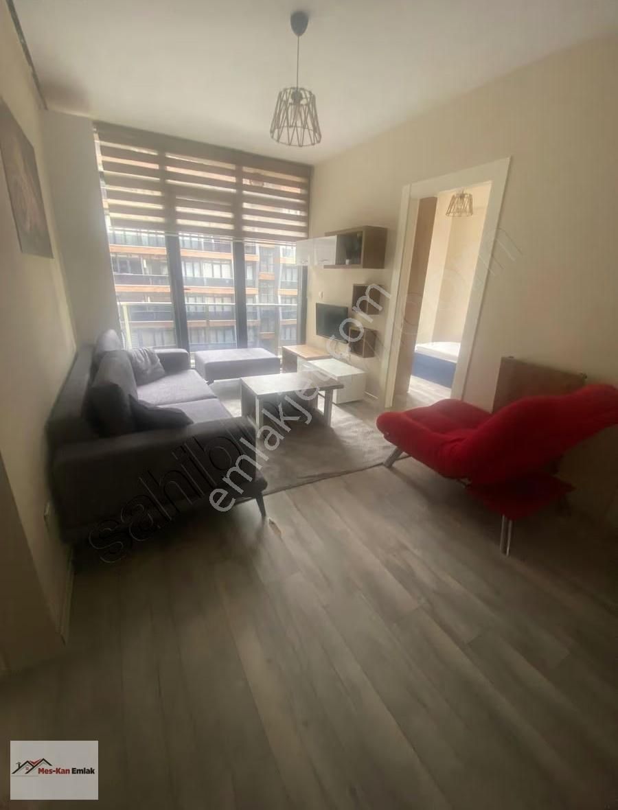 Meskan Dan Ostaş Vizyonda 2+1 Ara Kat Eşyalı Kiralık - Görsel 3