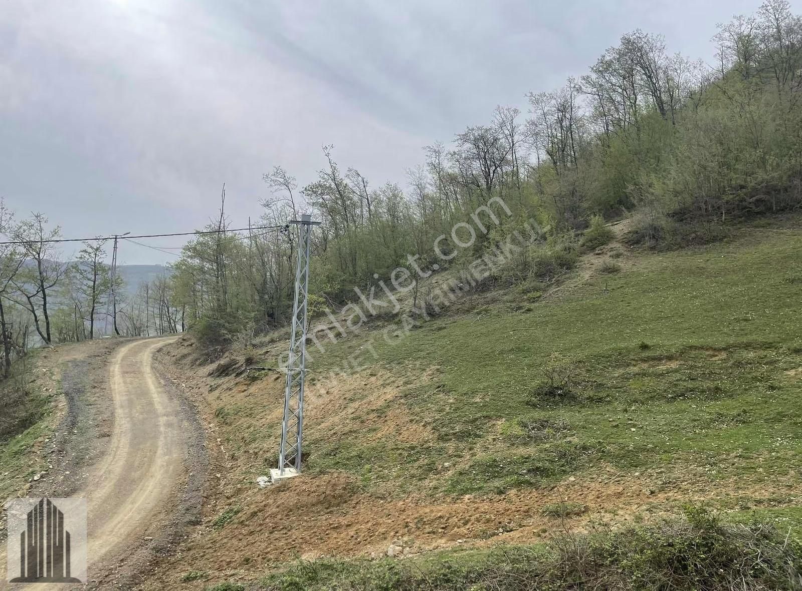 Kuvvet'ten Gölalan'da 17 Dönüm Deniz Ve Doğa Manzaralı Tarla ! - Görsel 11