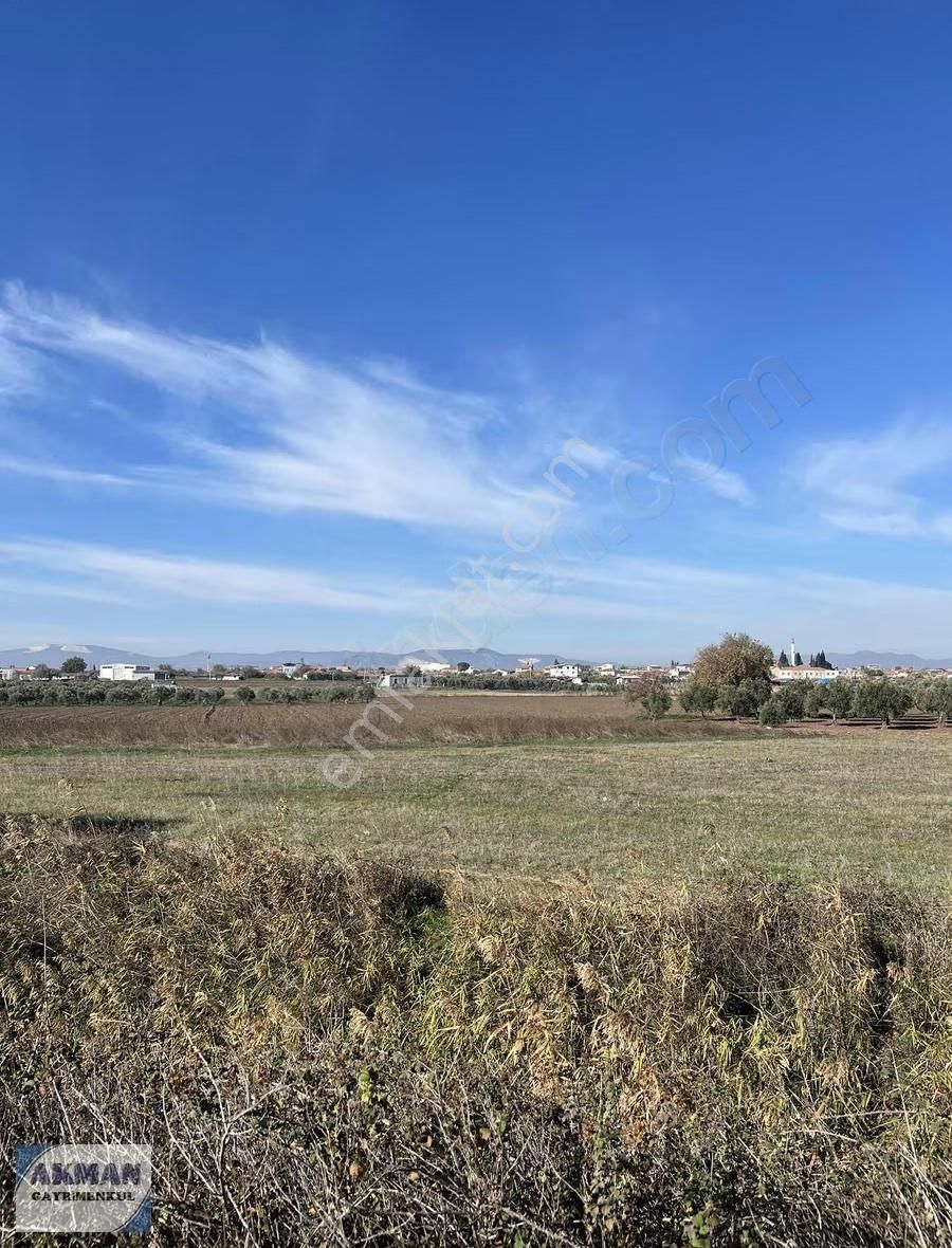 Kapaklı Mh 4.640 M2 Satılık Zeytinlik - Görsel 14