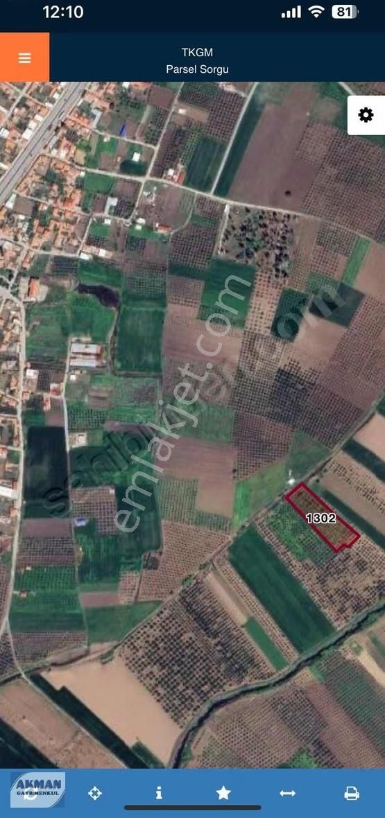 Kapaklı Mh 4.640 M2 Satılık Zeytinlik - Görsel 2