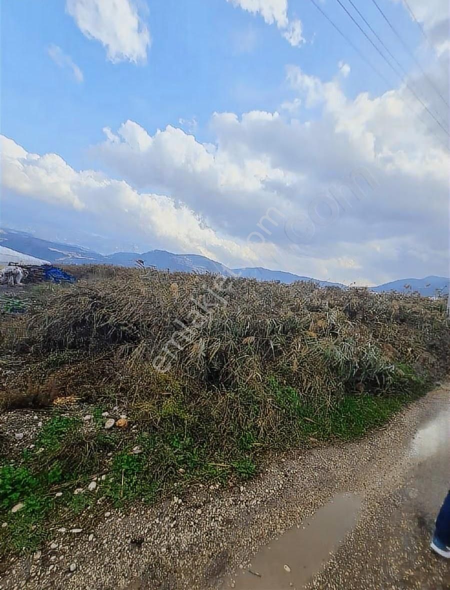 Kaş Ova Mh.100006 M2 Satılık Tarla. - Görsel 3