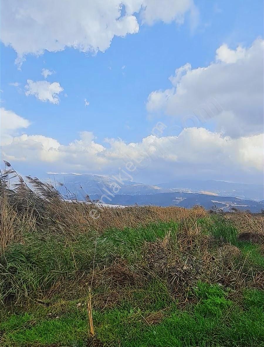 Kaş Ova Mh.100006 M2 Satılık Tarla. - Görsel 16