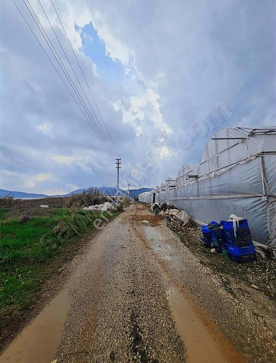 Kaş Ova Mh.100006 M2 Satılık Tarla. - Görsel 17