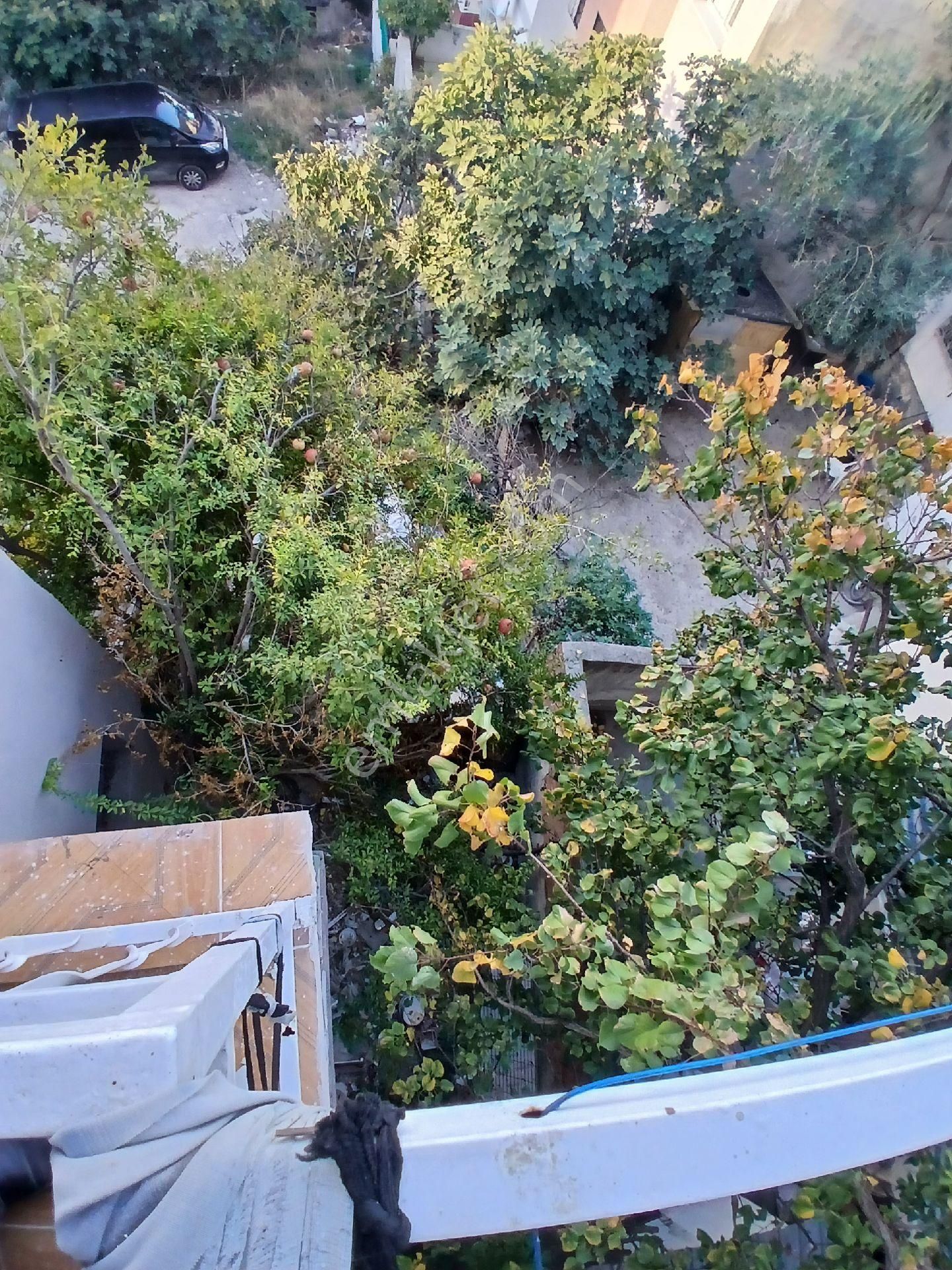 Komple Satılık 3 Kat 2 Daire + 1 Dükkan - Görsel 17