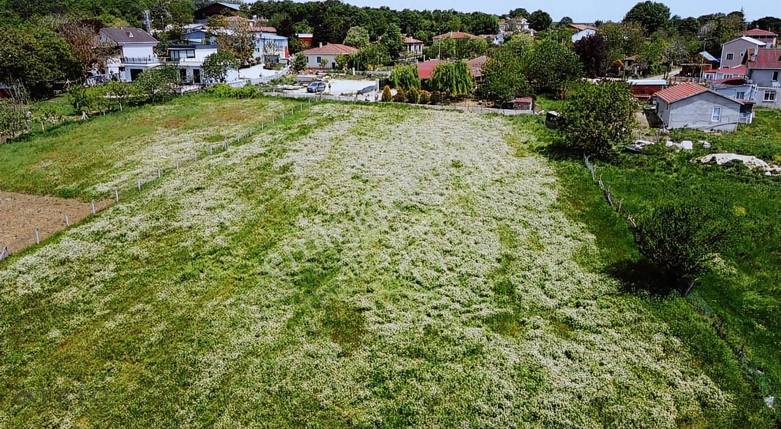 İstanbul Çatalca Kabakça 4023m2 Satılık - Görsel 20