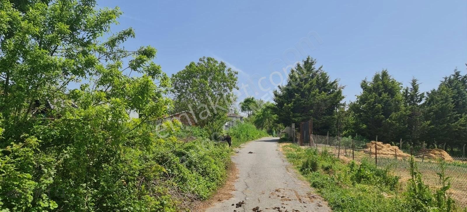 İstanbul Çatalca Kabakça 4023m2 Satılık - Görsel 4