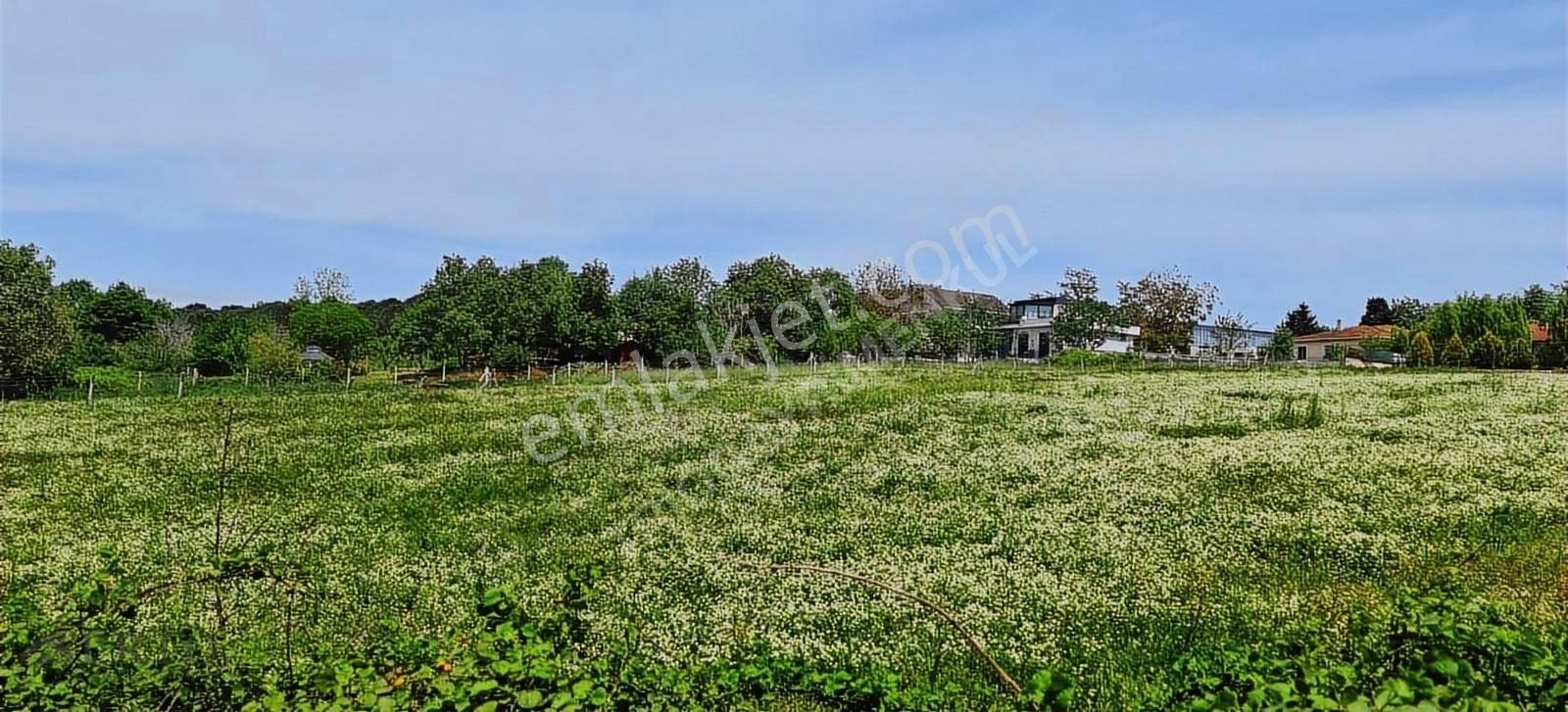 İstanbul Çatalca Kabakça 4023m2 Satılık - Görsel 19