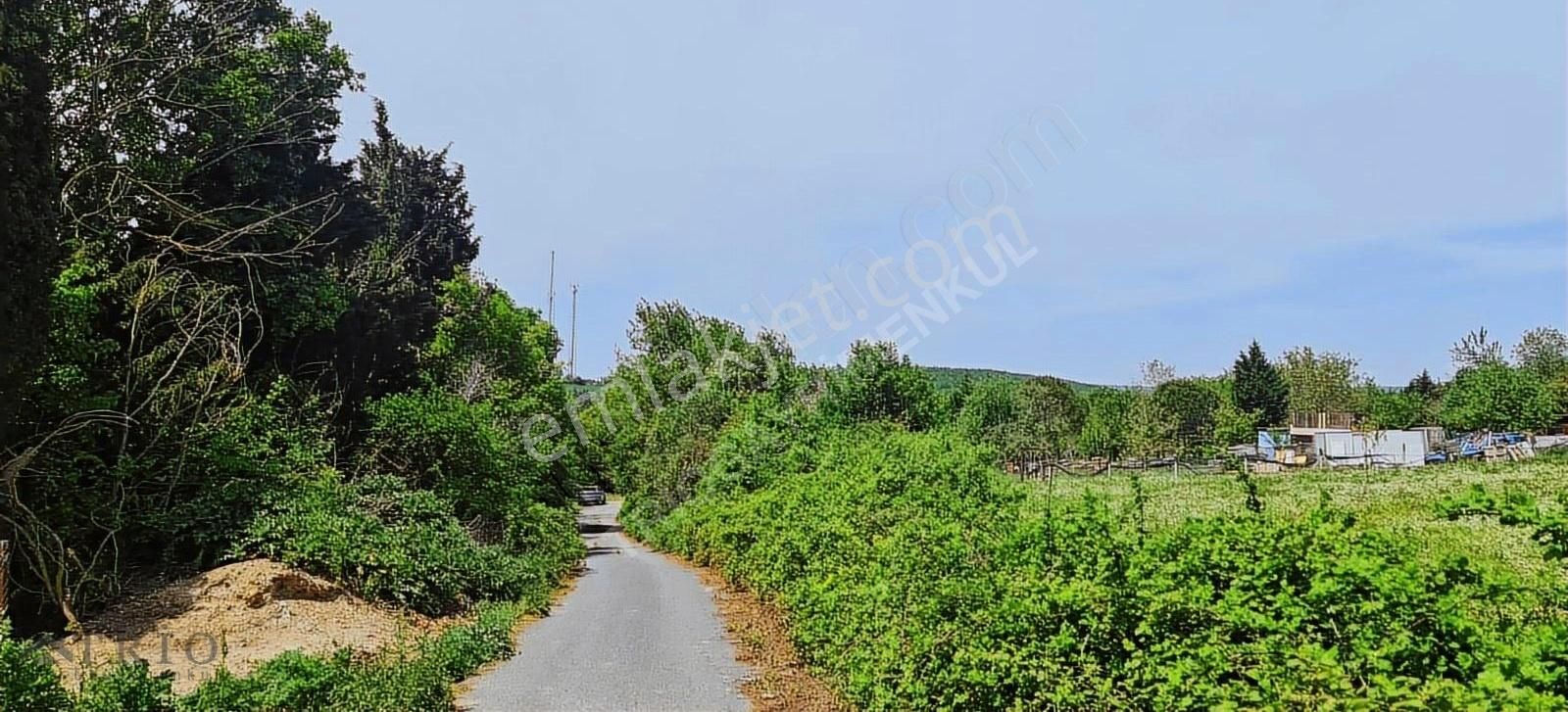 İstanbul Çatalca Kabakça 4023m2 Satılık - Görsel 21