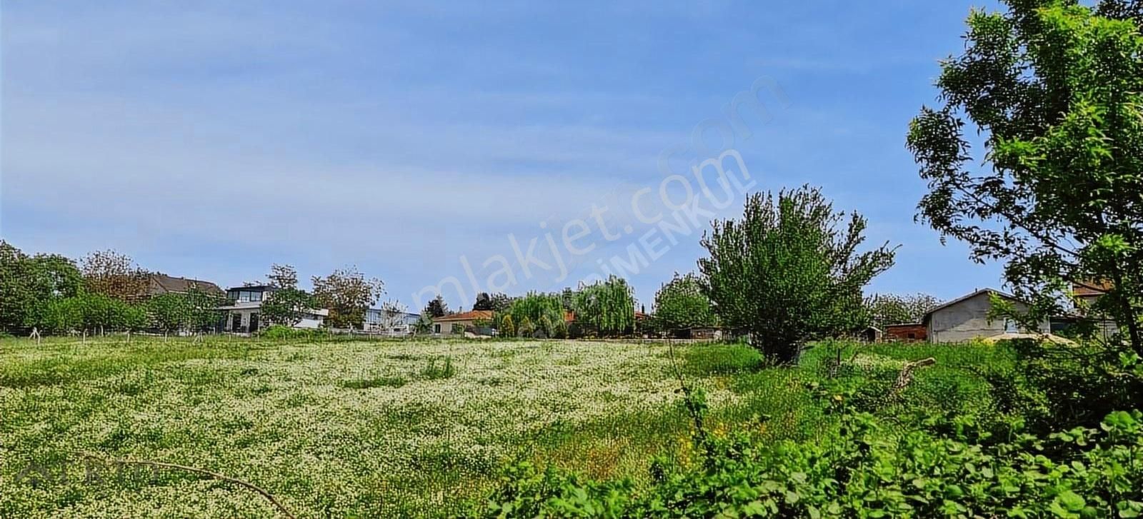 İstanbul Çatalca Kabakça 4023m2 Satılık - Görsel 27