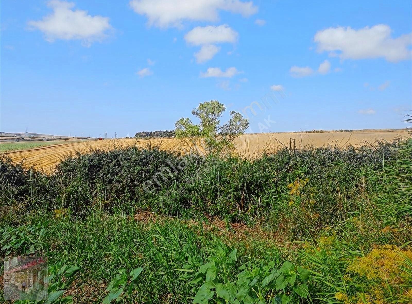 İst Silivri Bekirli Mah De Satilik Tarlatek Tapu Müstakil13825m2 - Görsel 29