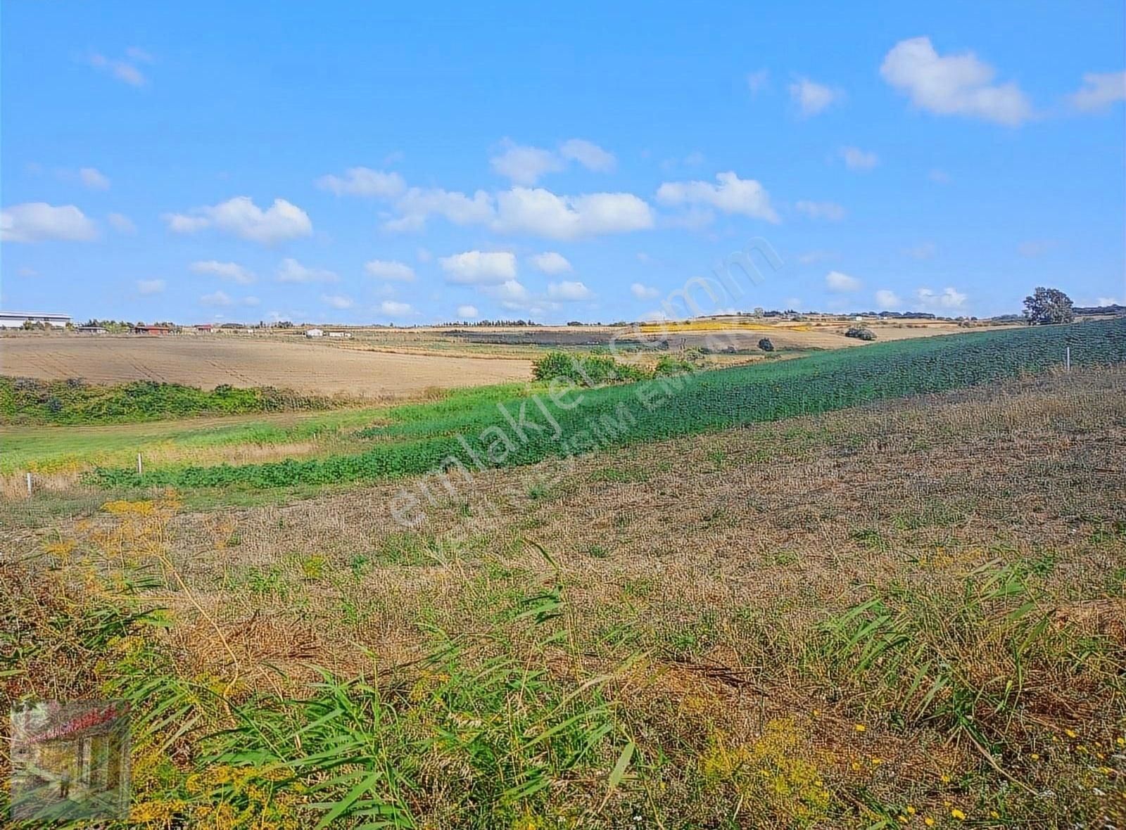 İst Silivri Bekirli Mah De Satilik Tarlatek Tapu Müstakil13825m2 - Görsel 14