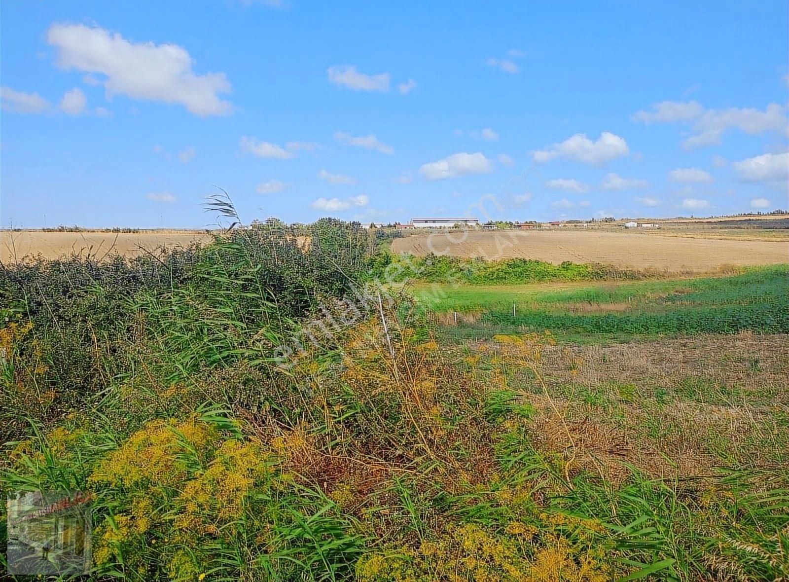 İst Silivri Bekirli Mah De Satilik Tarlatek Tapu Müstakil13825m2 - Görsel 24