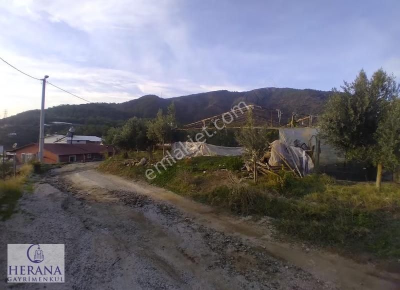 Muğla Fethiye Eldirek Mahallesi'nde Tek Tapulu Satılık Tarla - Görsel 9