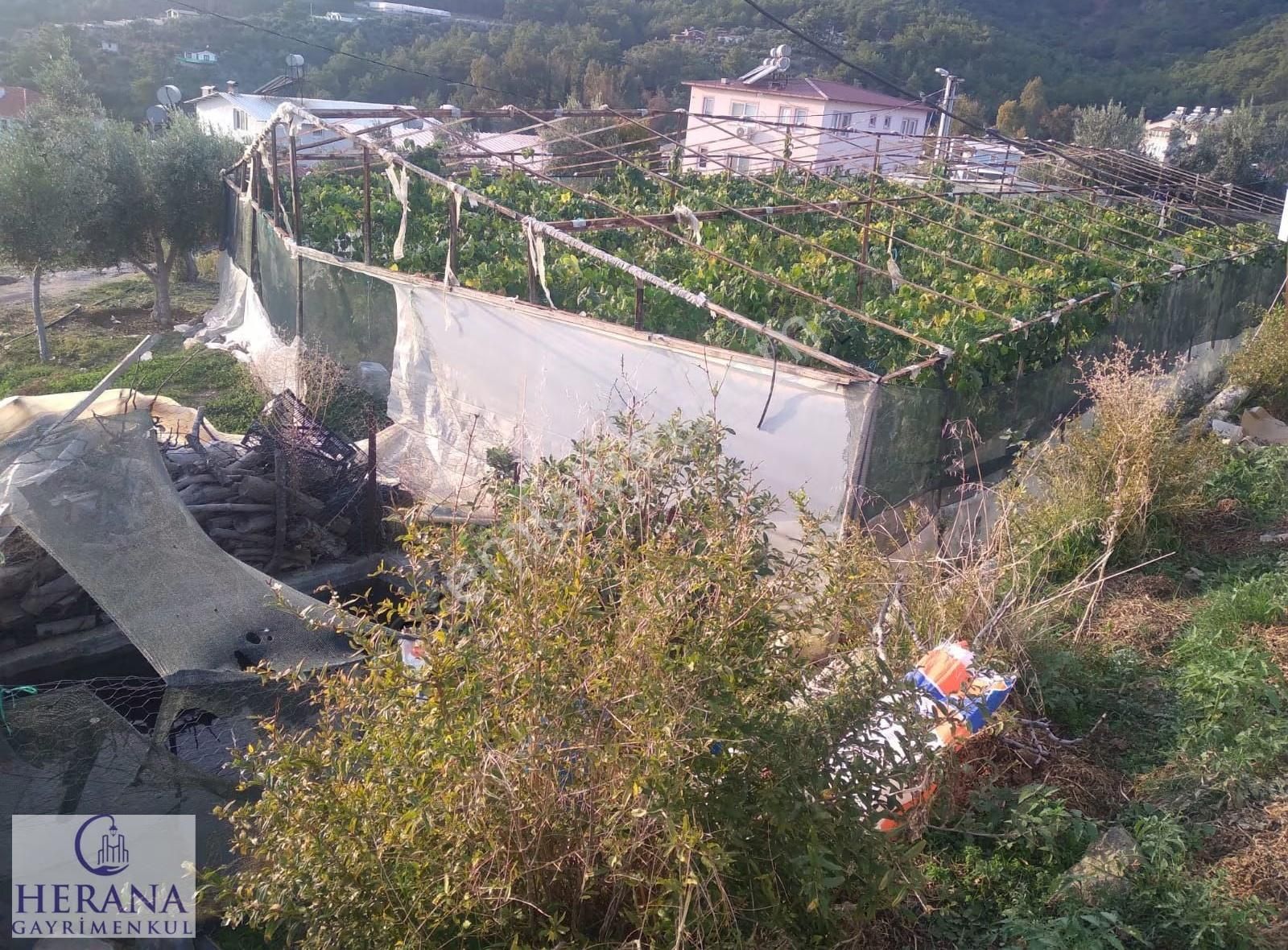 Muğla Fethiye Eldirek Mahallesi'nde Tek Tapulu Satılık Tarla - Görsel 12
