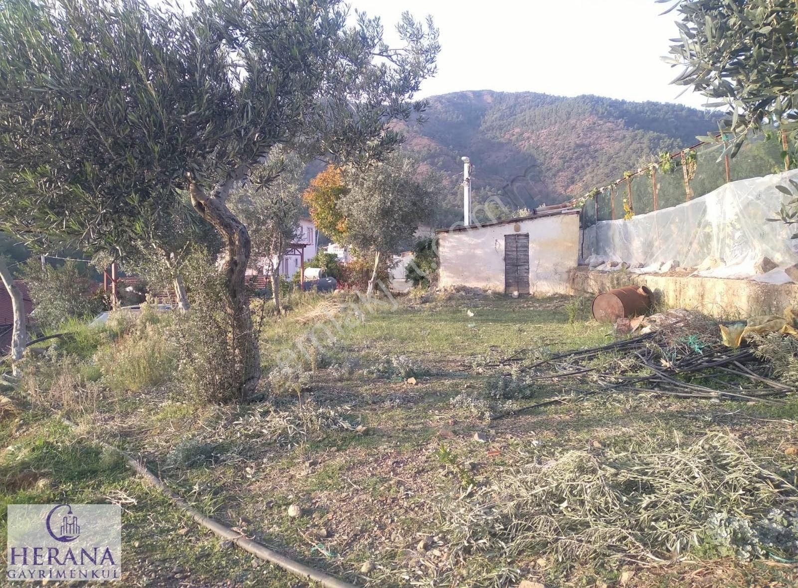 Muğla Fethiye Eldirek Mahallesi'nde Tek Tapulu Satılık Tarla - Görsel 10