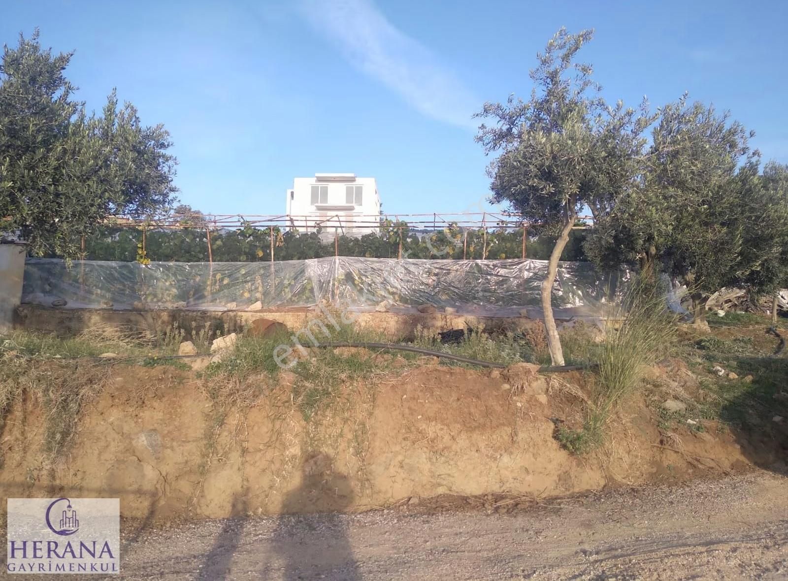 Muğla Fethiye Eldirek Mahallesi'nde Tek Tapulu Satılık Tarla - Görsel 6