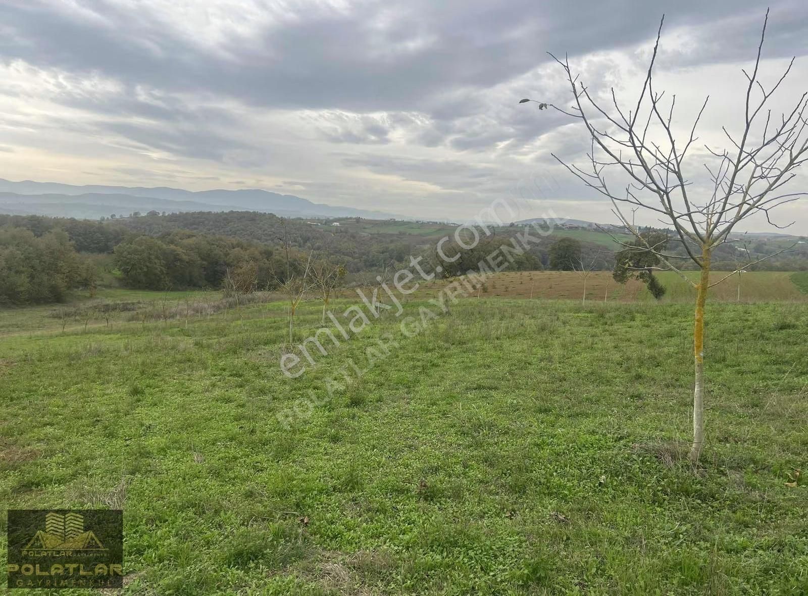 Karadavutlu'da Yatırımlık Fırsat Tarla!!! - Görsel 2