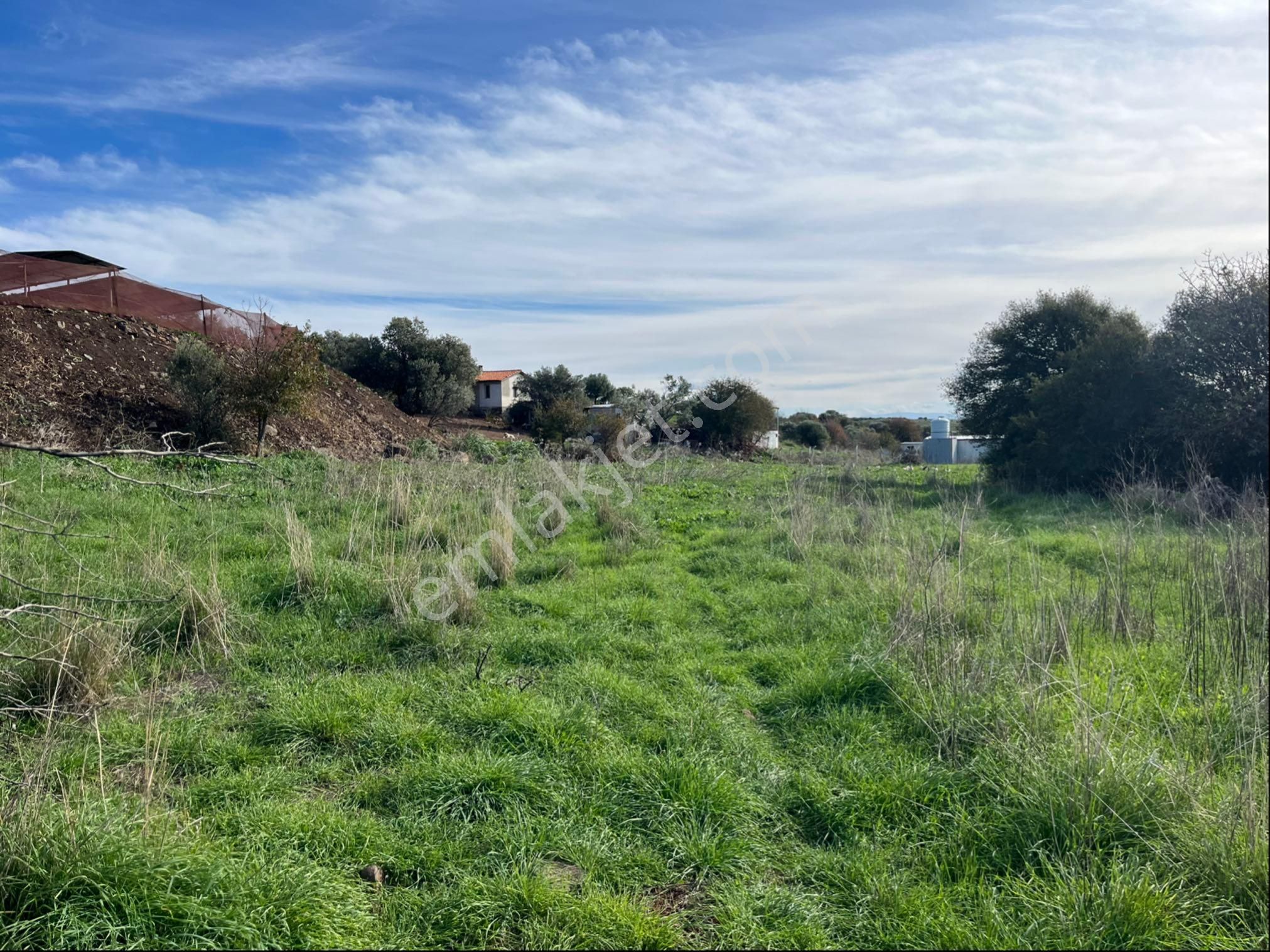 İzmir Foça Satılık 3 Dönüm Deniz Manzaralı Tarla - Görsel 5