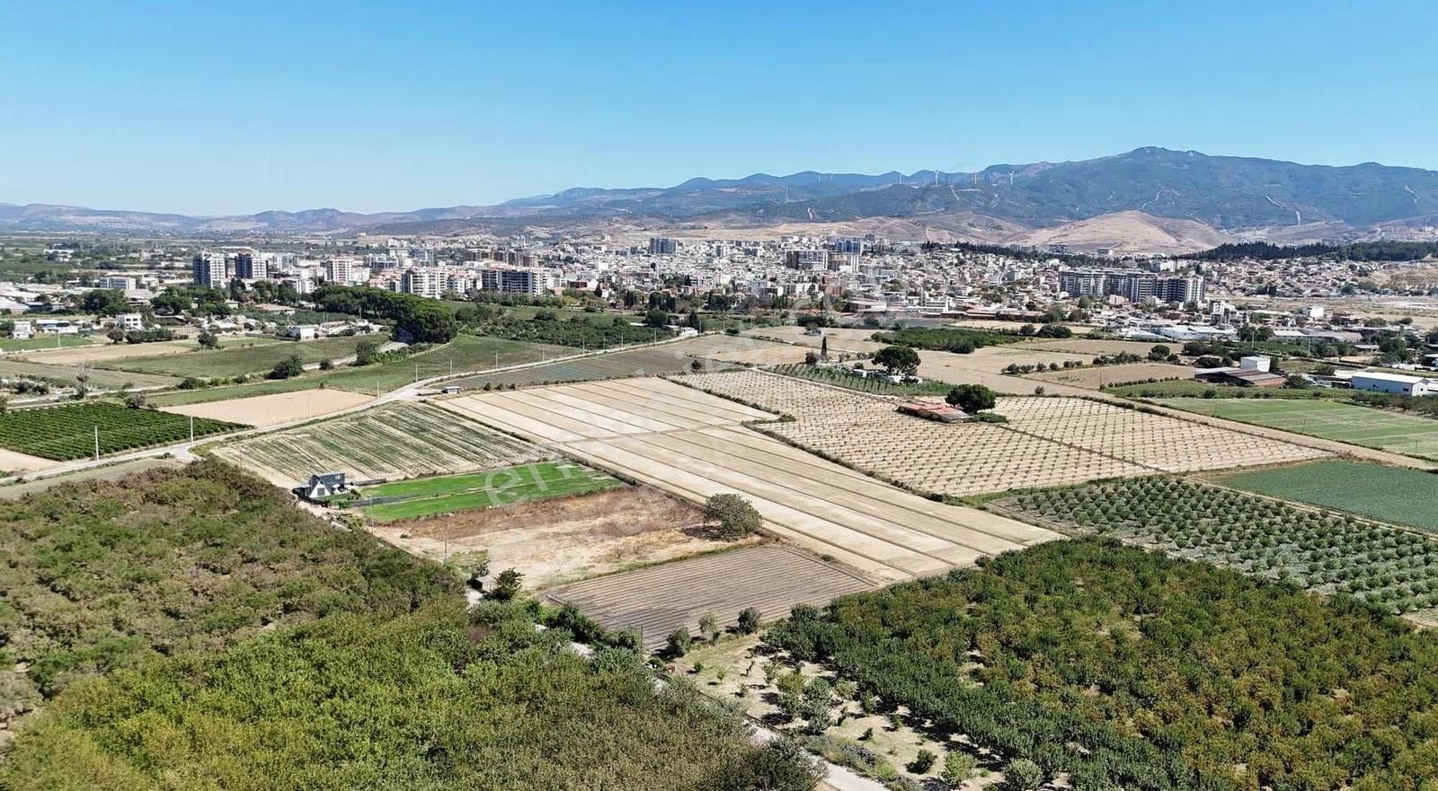 Menemen Merkezde Satılık 3081 M2 Tapulu Komşuları Olan Bahçe