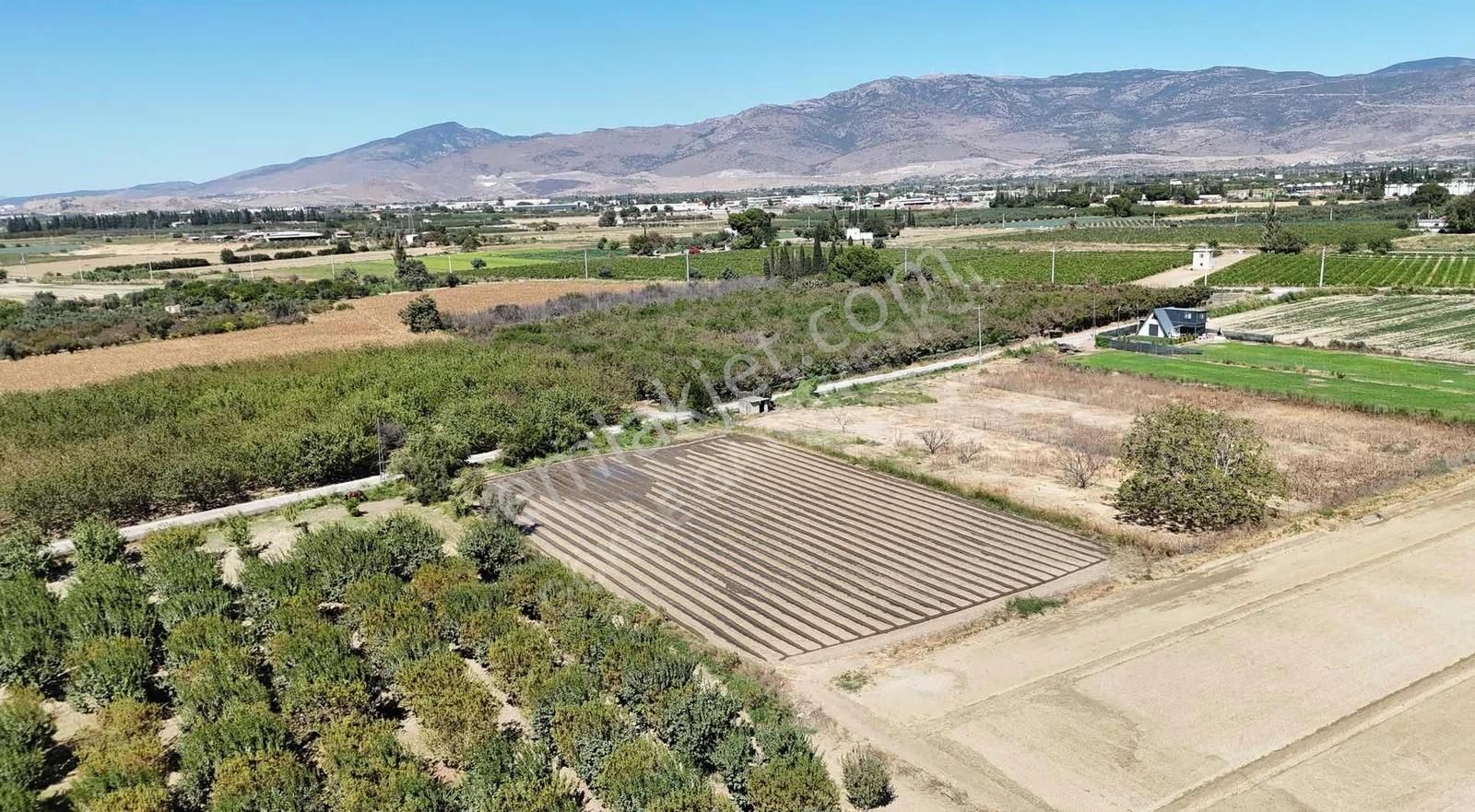 Menemen Merkezde Satılık 3081 M2 Tapulu Komşuları Olan Bahçe - Görsel 11
