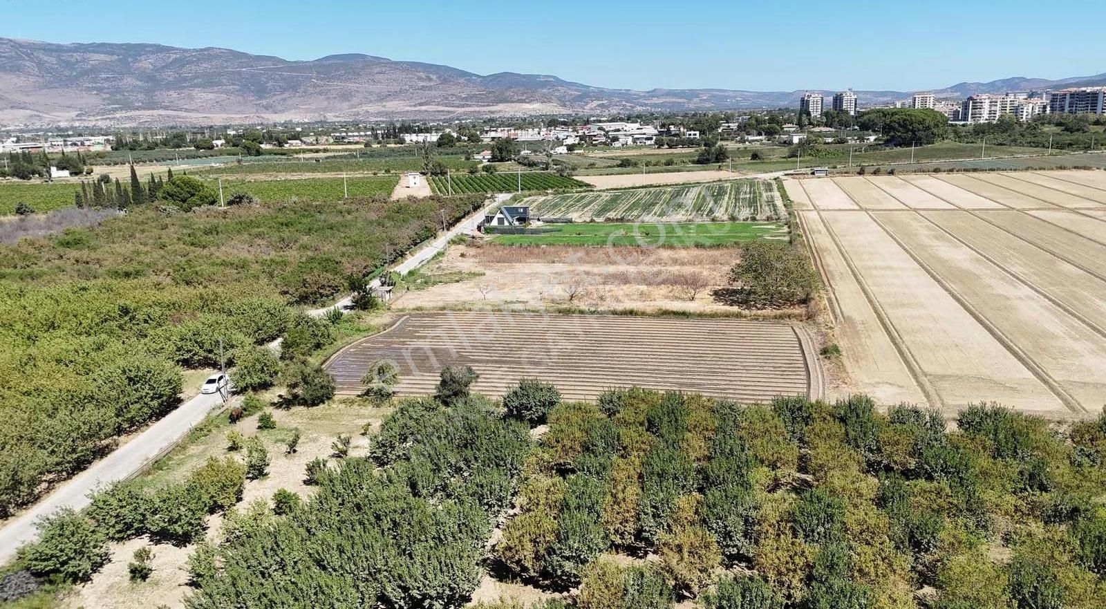 Menemen Merkezde Satılık 3081 M2 Tapulu Komşuları Olan Bahçe - Görsel 9