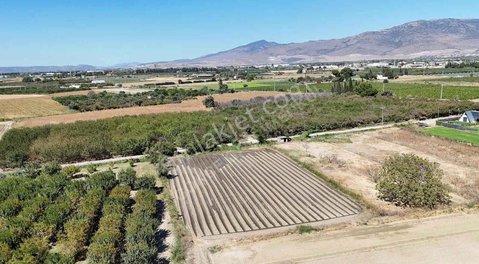 Menemen Merkezde Satılık 3081 M2 Tapulu Komşuları Olan Bahçe - Görsel 18