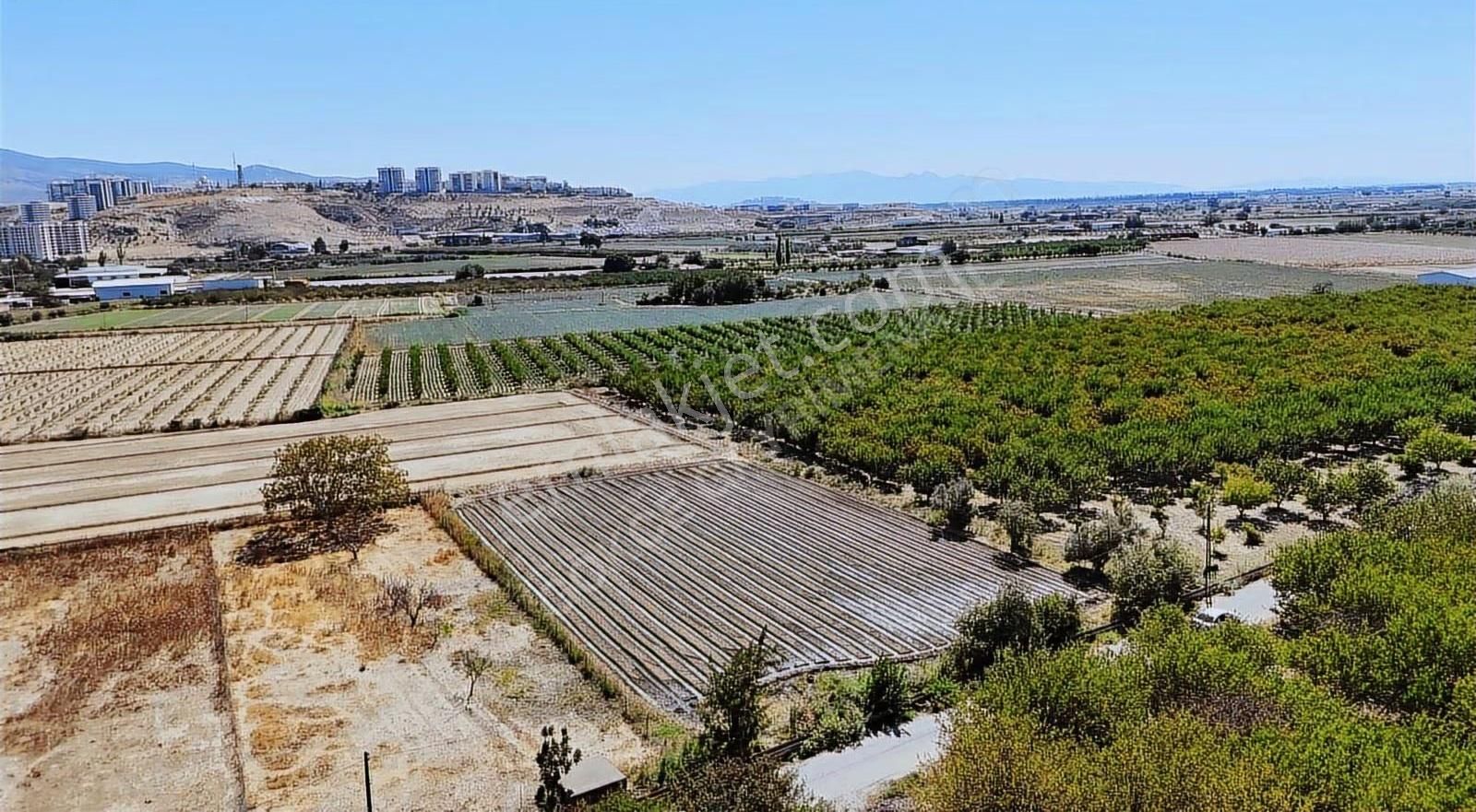 Menemen Merkezde Satılık 3081 M2 Tapulu Komşuları Olan Bahçe - Görsel 10