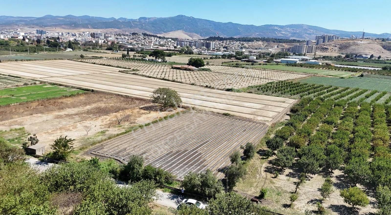 Menemen Merkezde Satılık 3081 M2 Tapulu Komşuları Olan Bahçe - Görsel 3