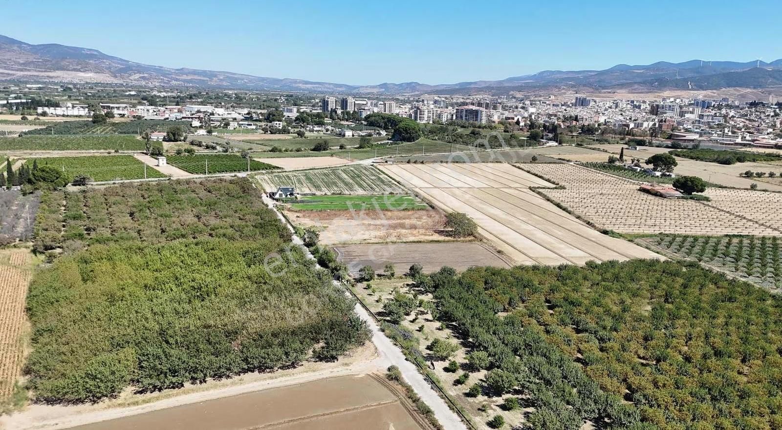 Menemen Merkezde Satılık 3081 M2 Tapulu Komşuları Olan Bahçe - Görsel 6