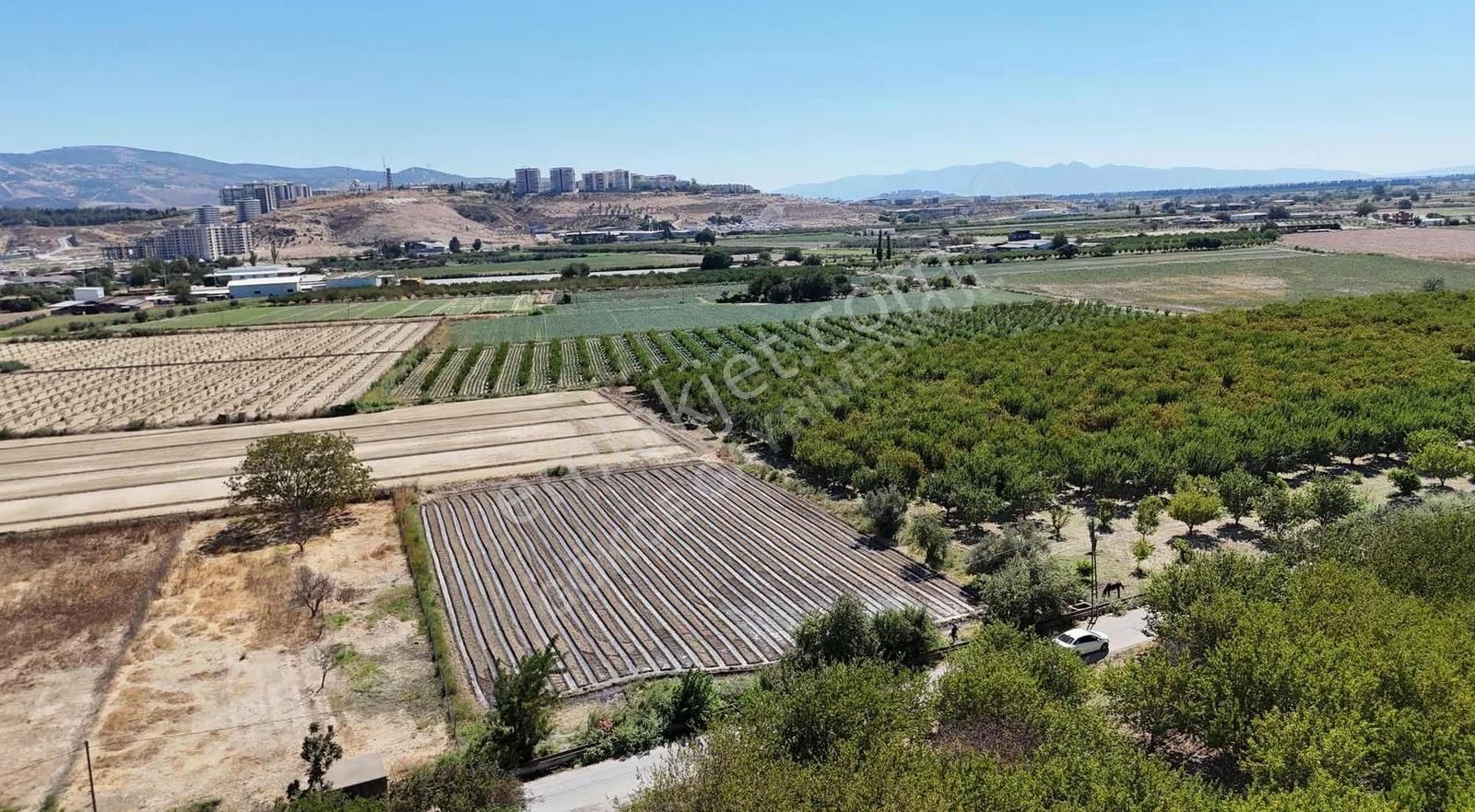 Menemen Merkezde Satılık 3081 M2 Tapulu Komşuları Olan Bahçe - Görsel 8