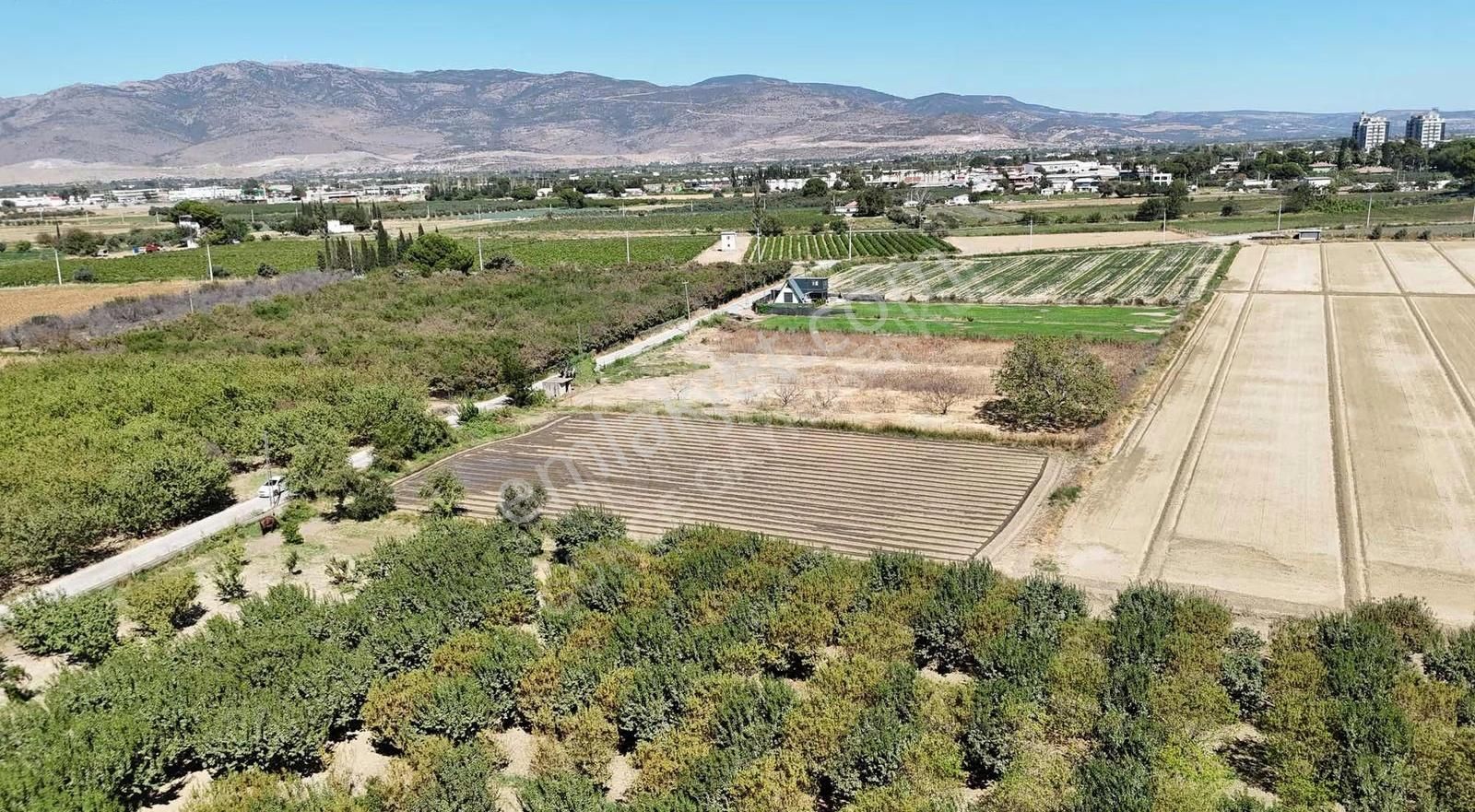 Menemen Merkezde Satılık 3081 M2 Tapulu Komşuları Olan Bahçe - Görsel 4